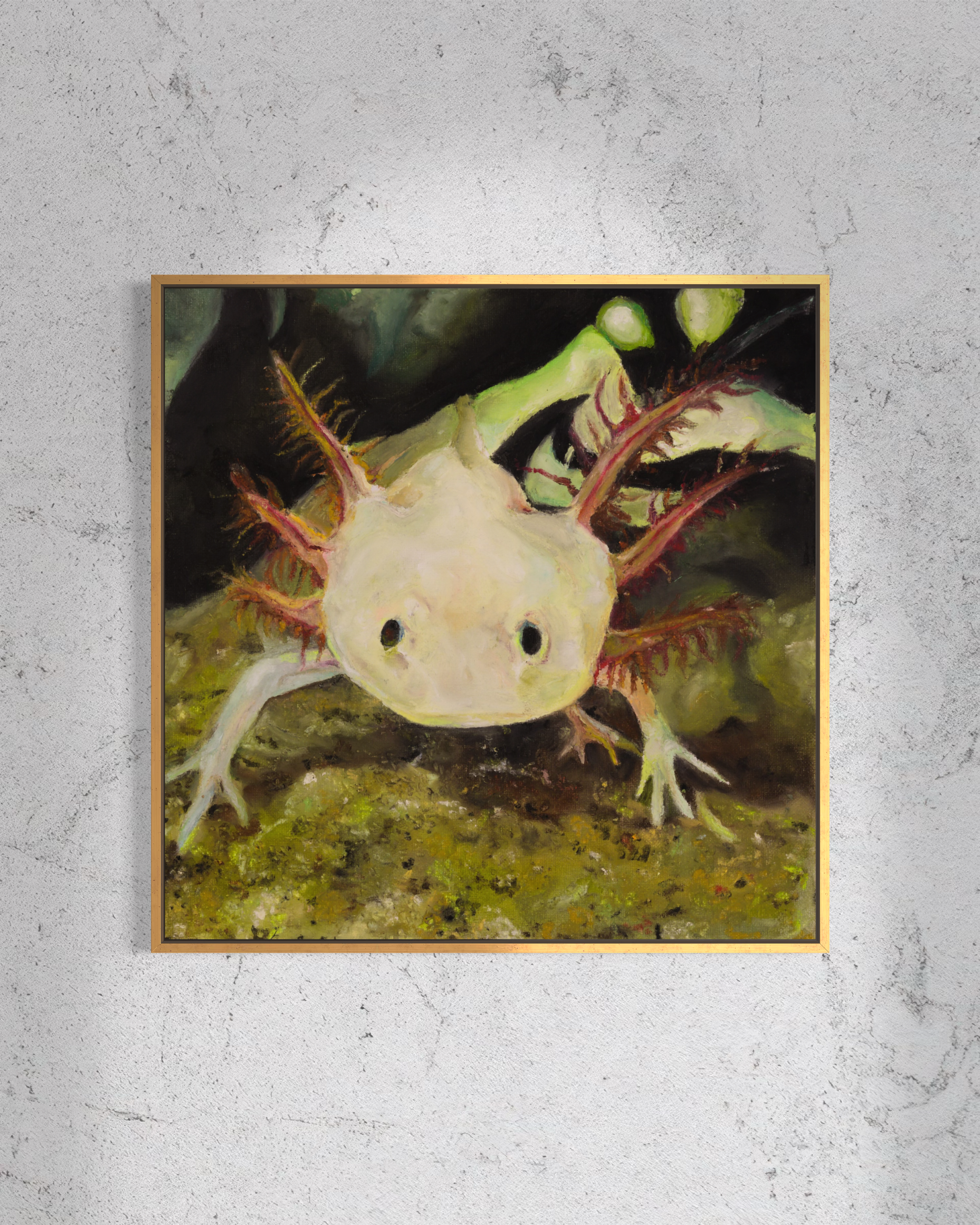 Axolotl