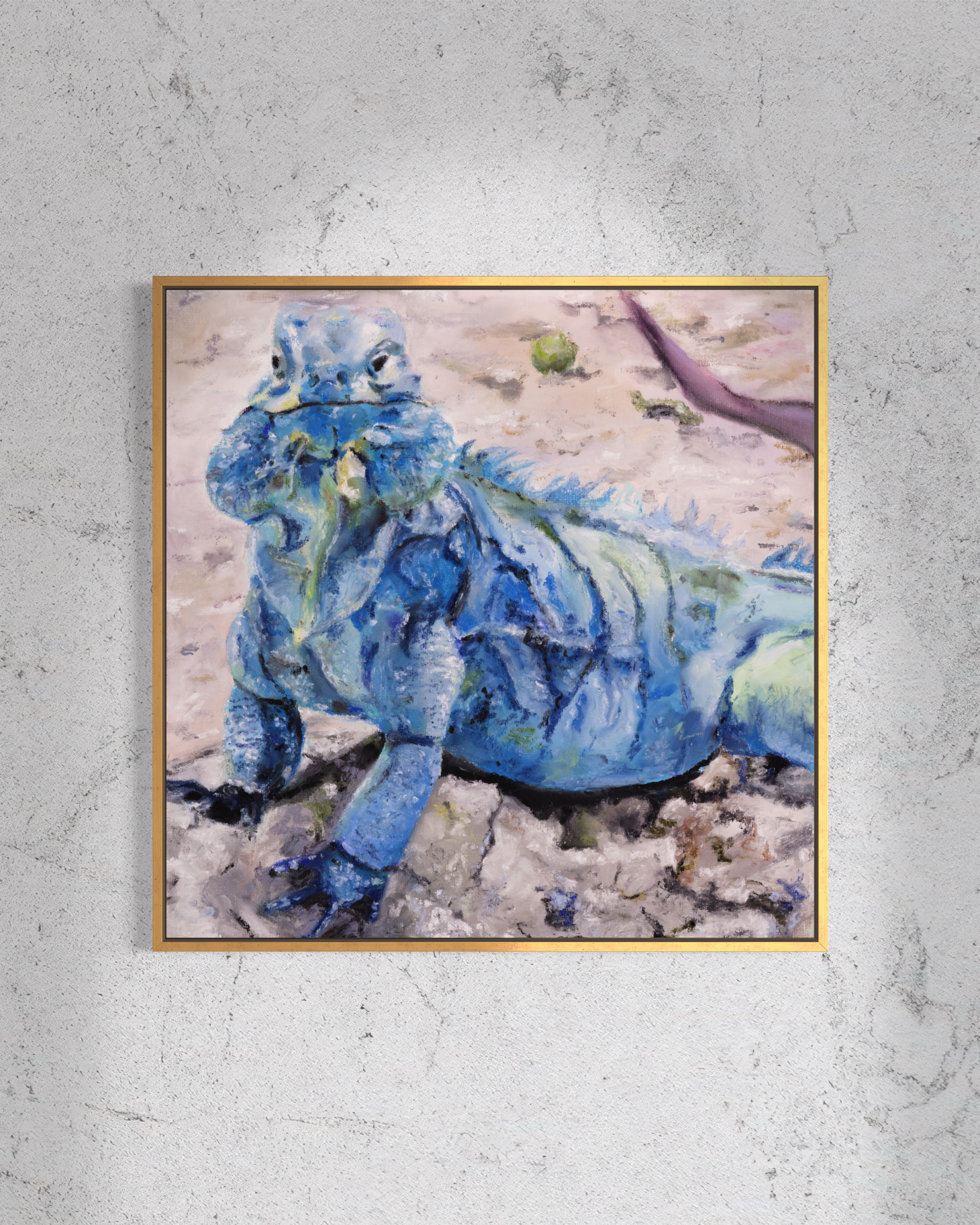 Blue Iguana