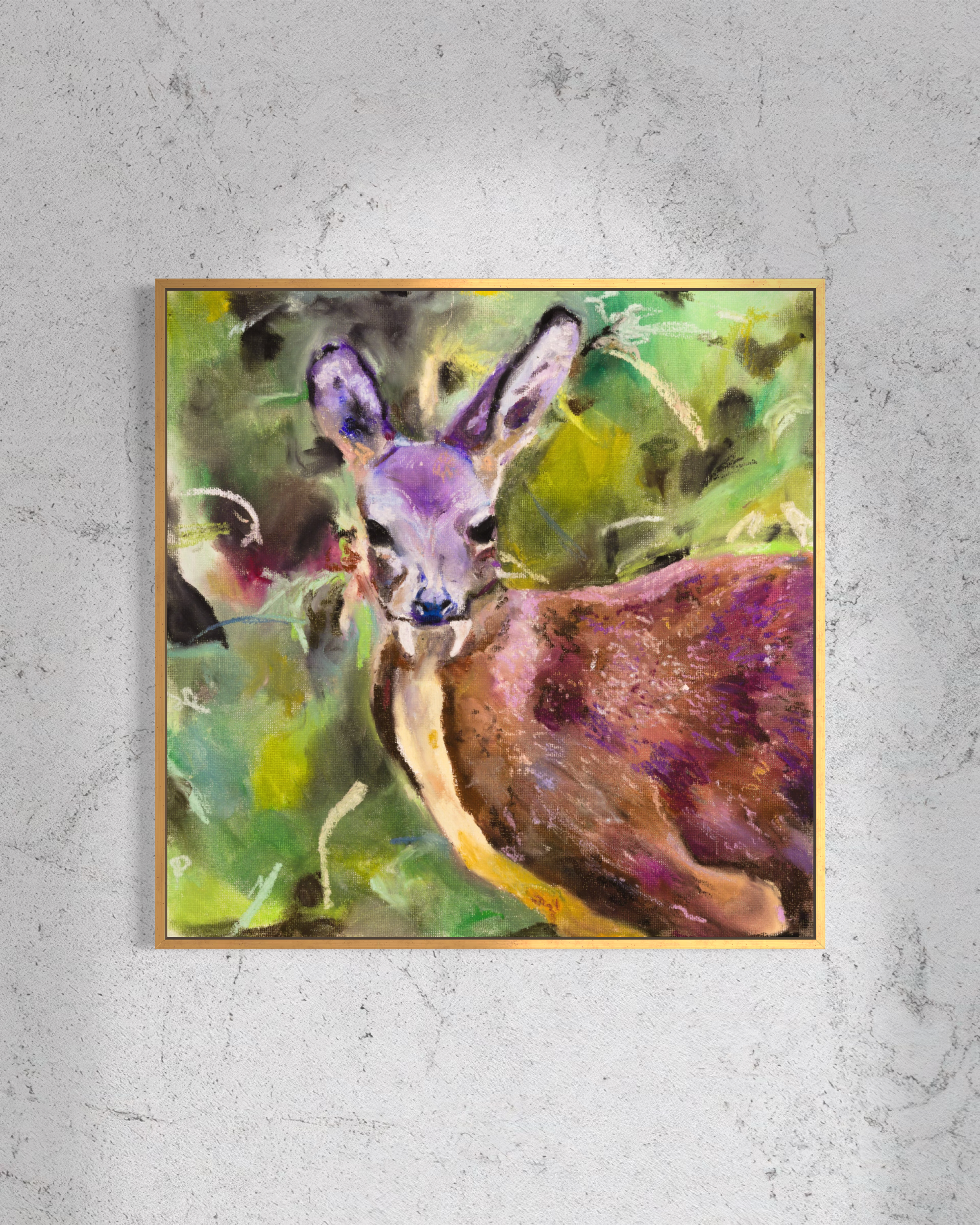 Dwarf Musk Deer