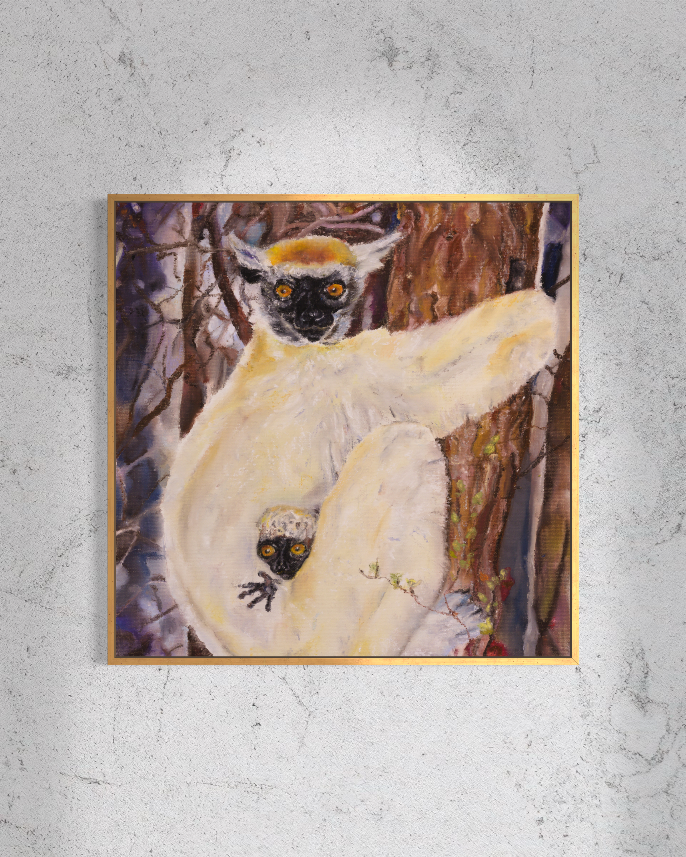 Crowned Sifaka
