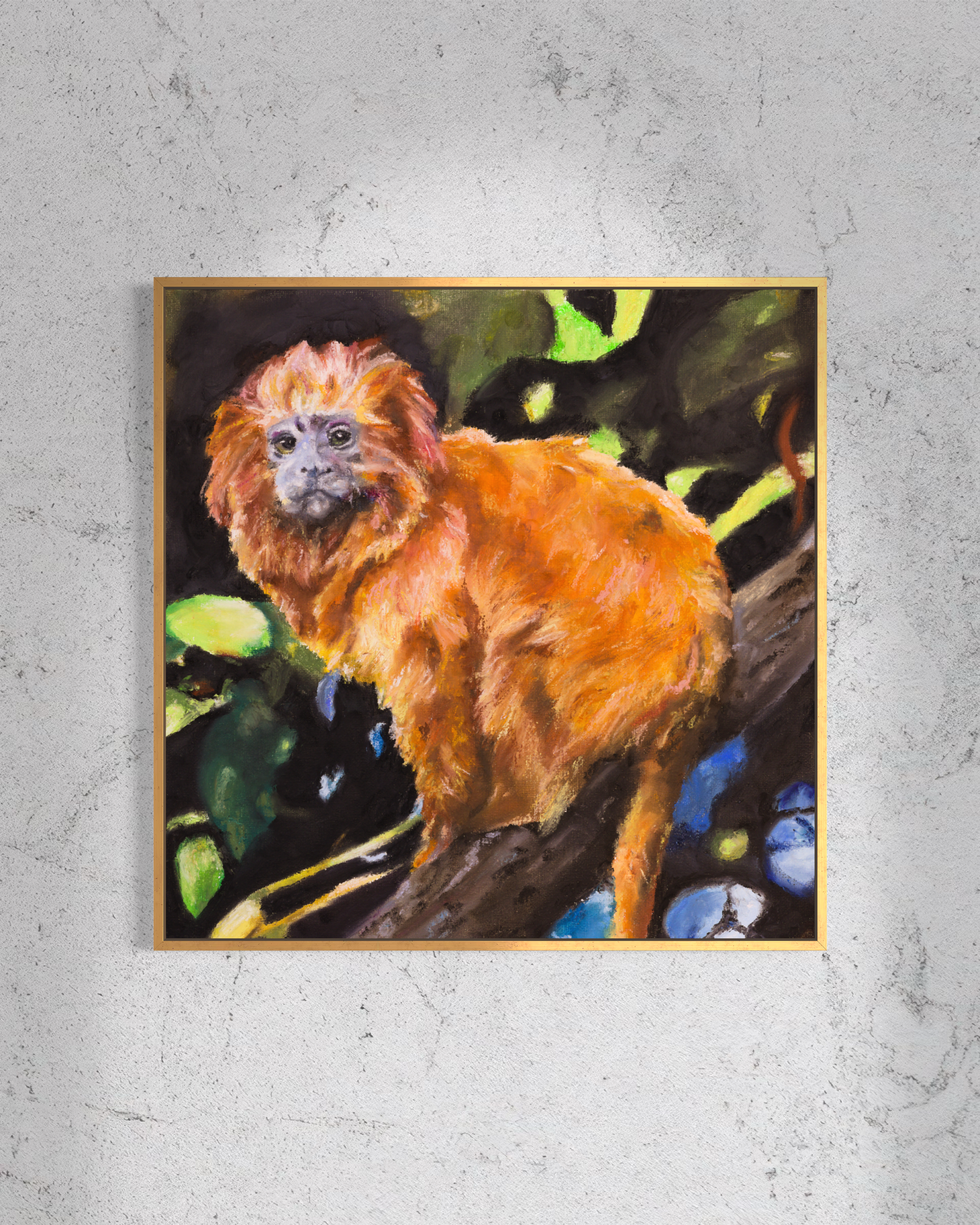Golden Lion Monkey
