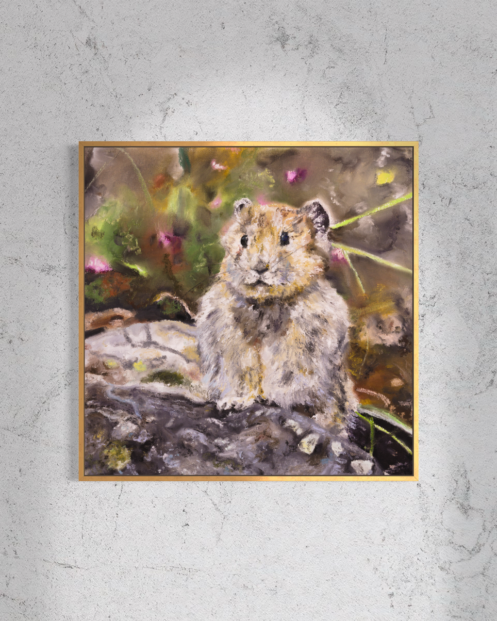 Ili Pika