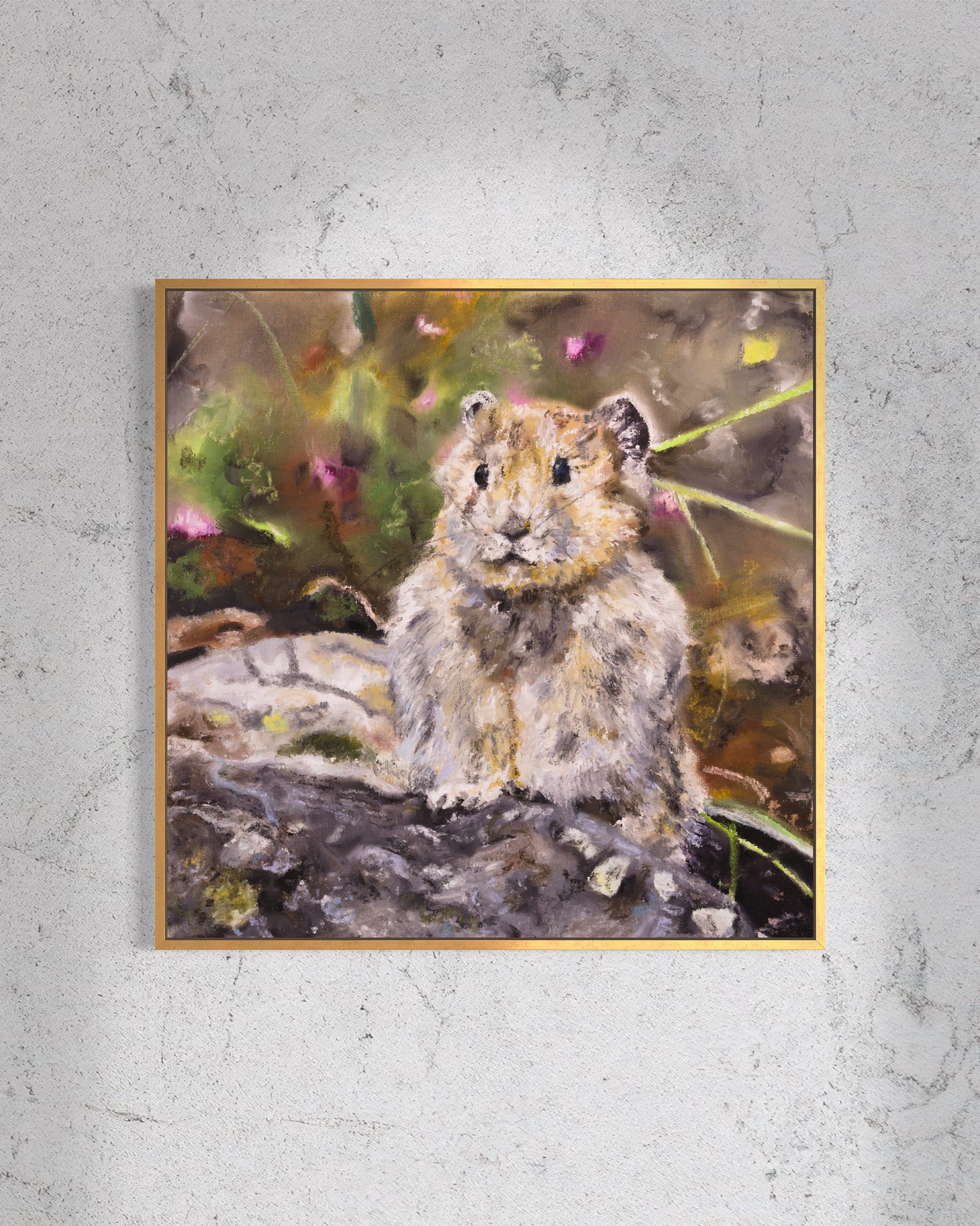 Ili Pika
