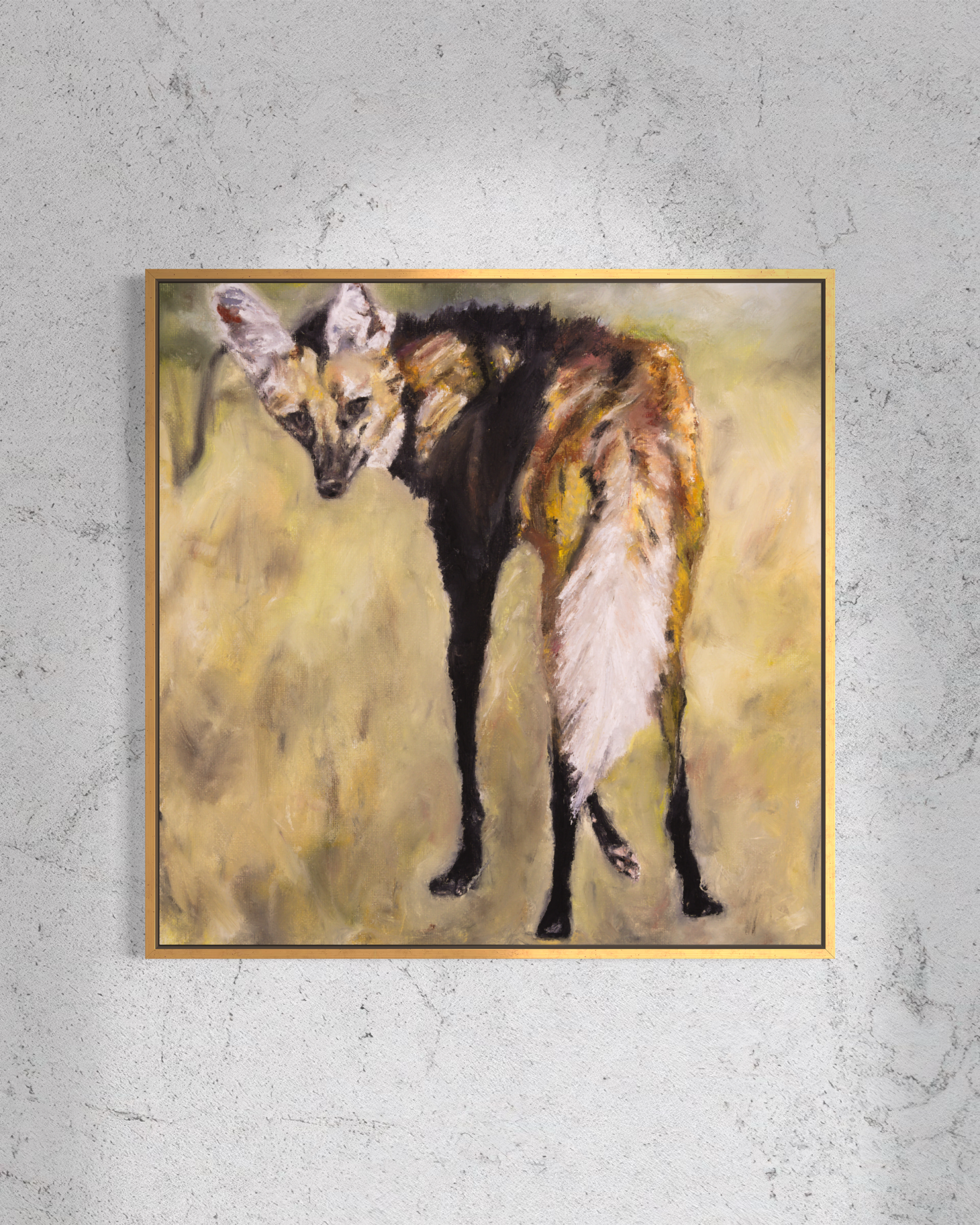 Maned Wolf