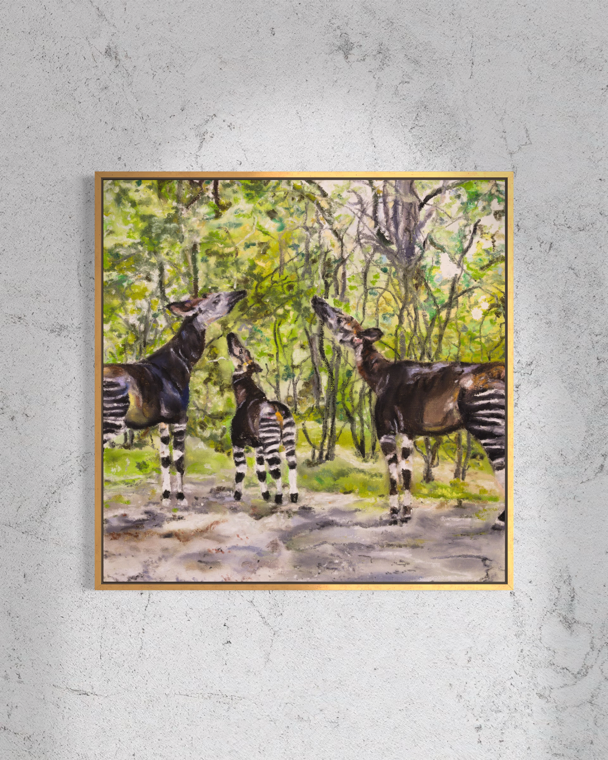 Okapi