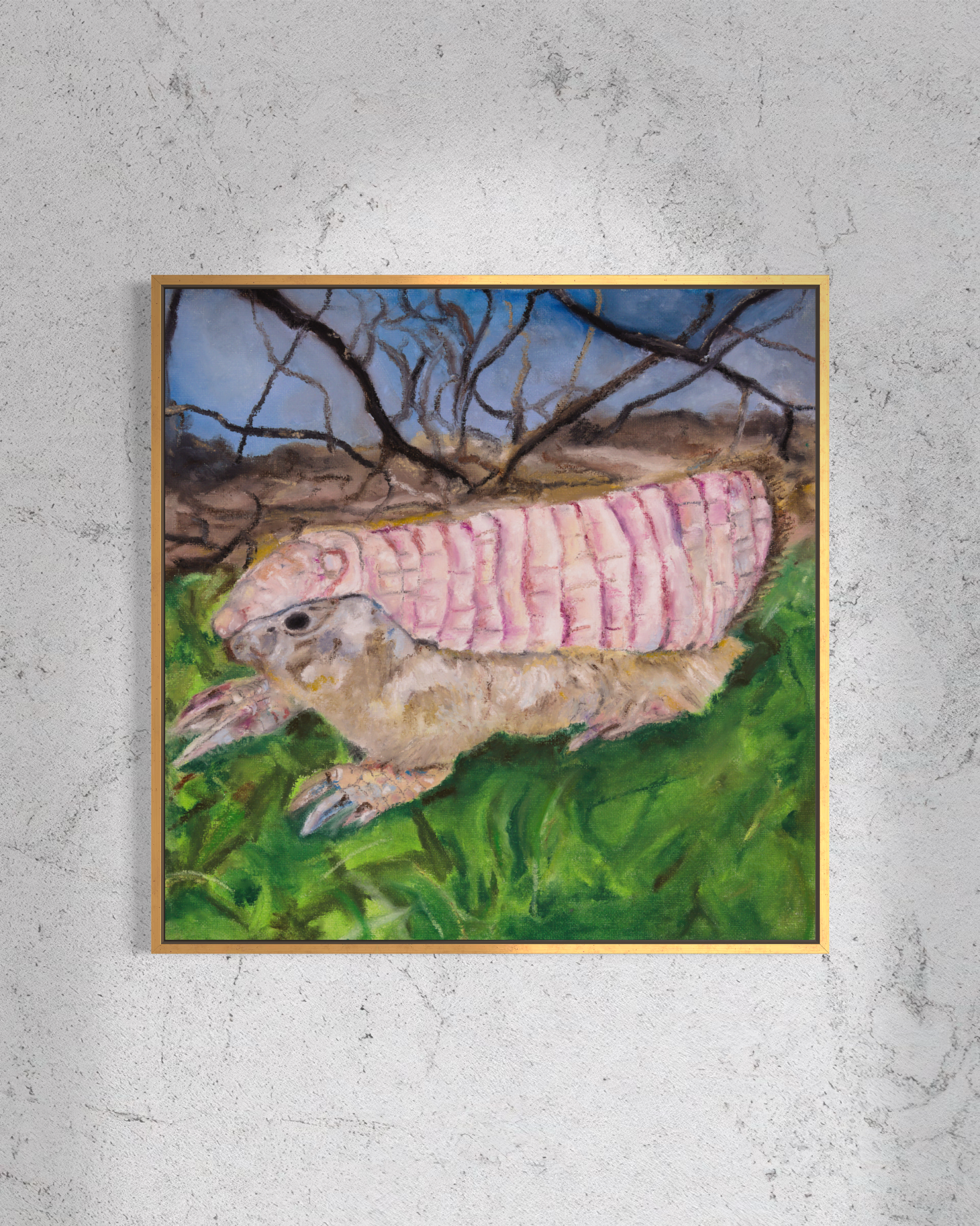 Pink Fairy Armadillo