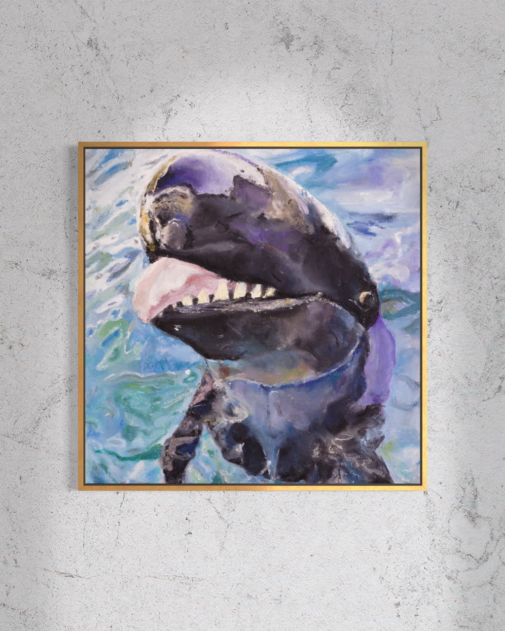 False Killer Whale