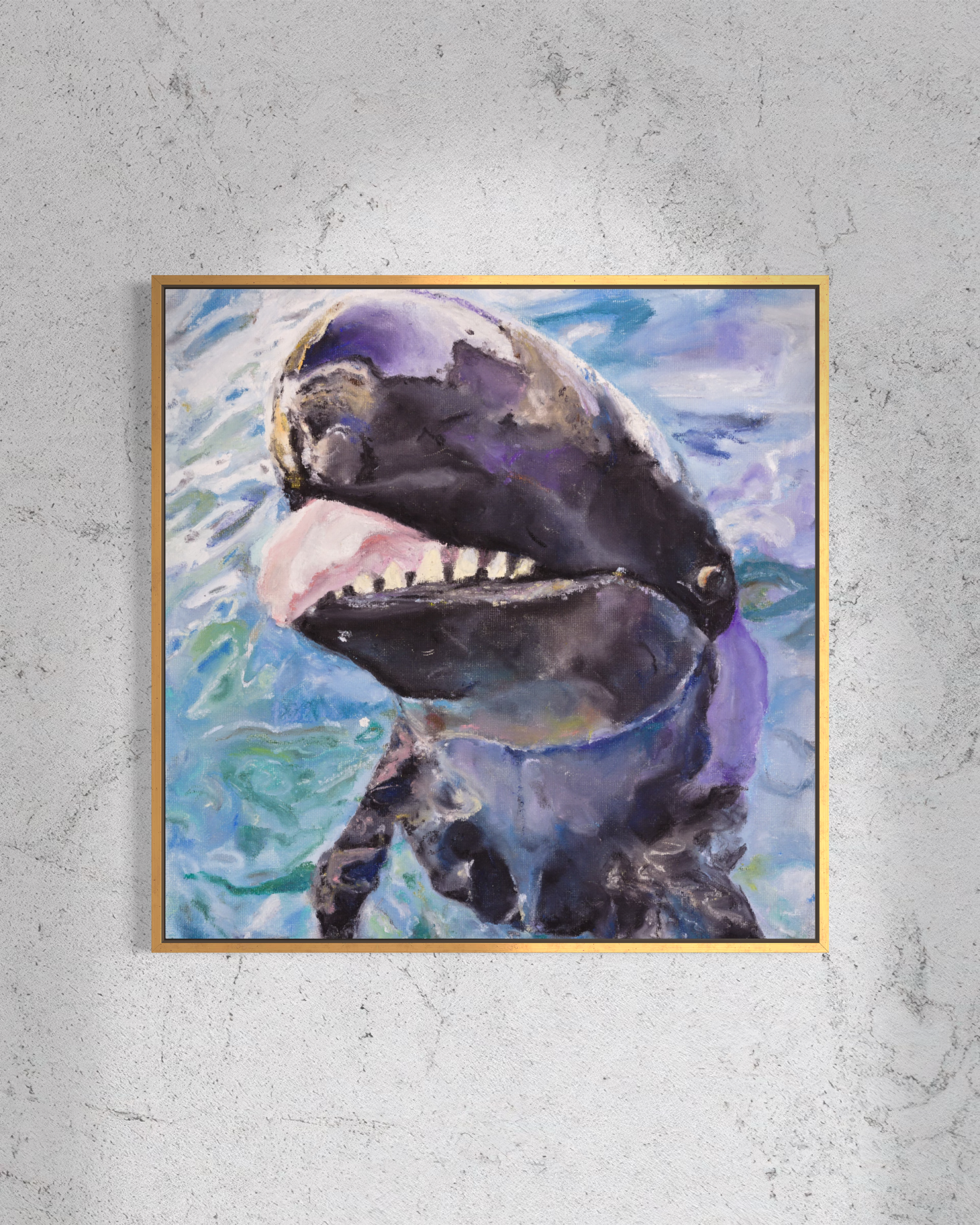 False Killer Whale