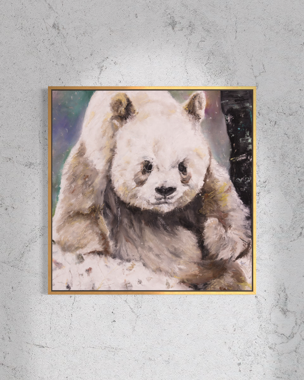 Quinling Panda