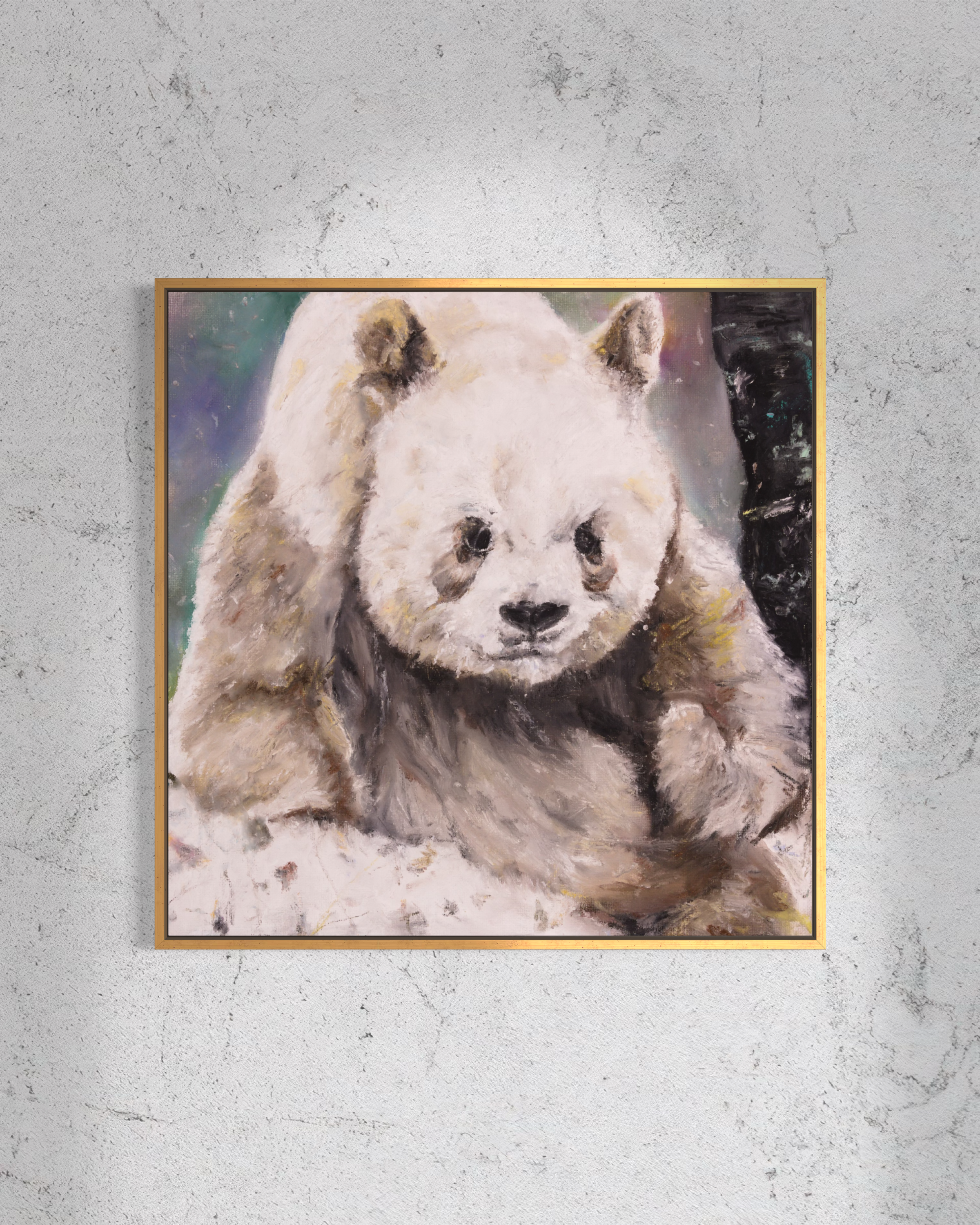 Quinling Panda