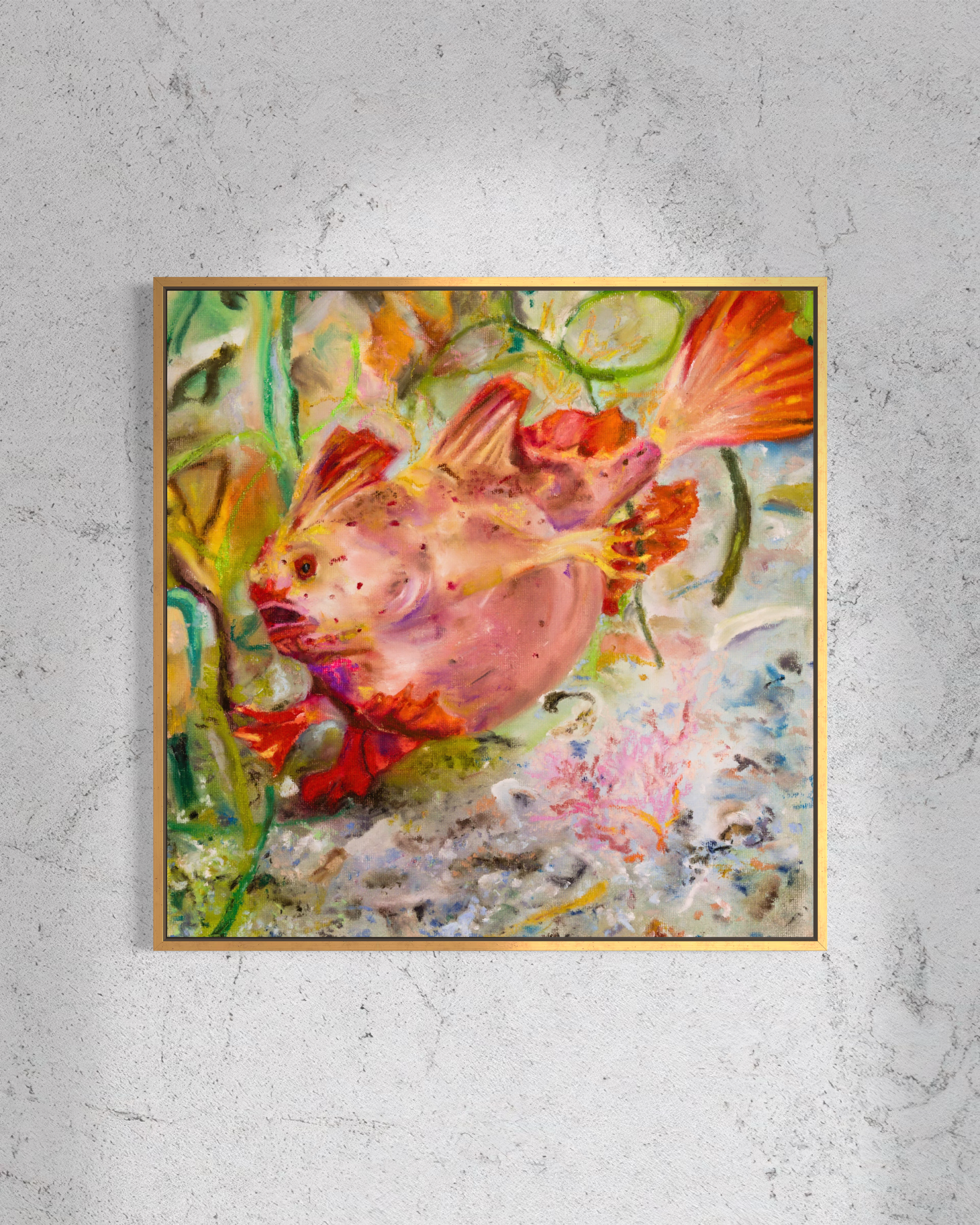 Red Handfish