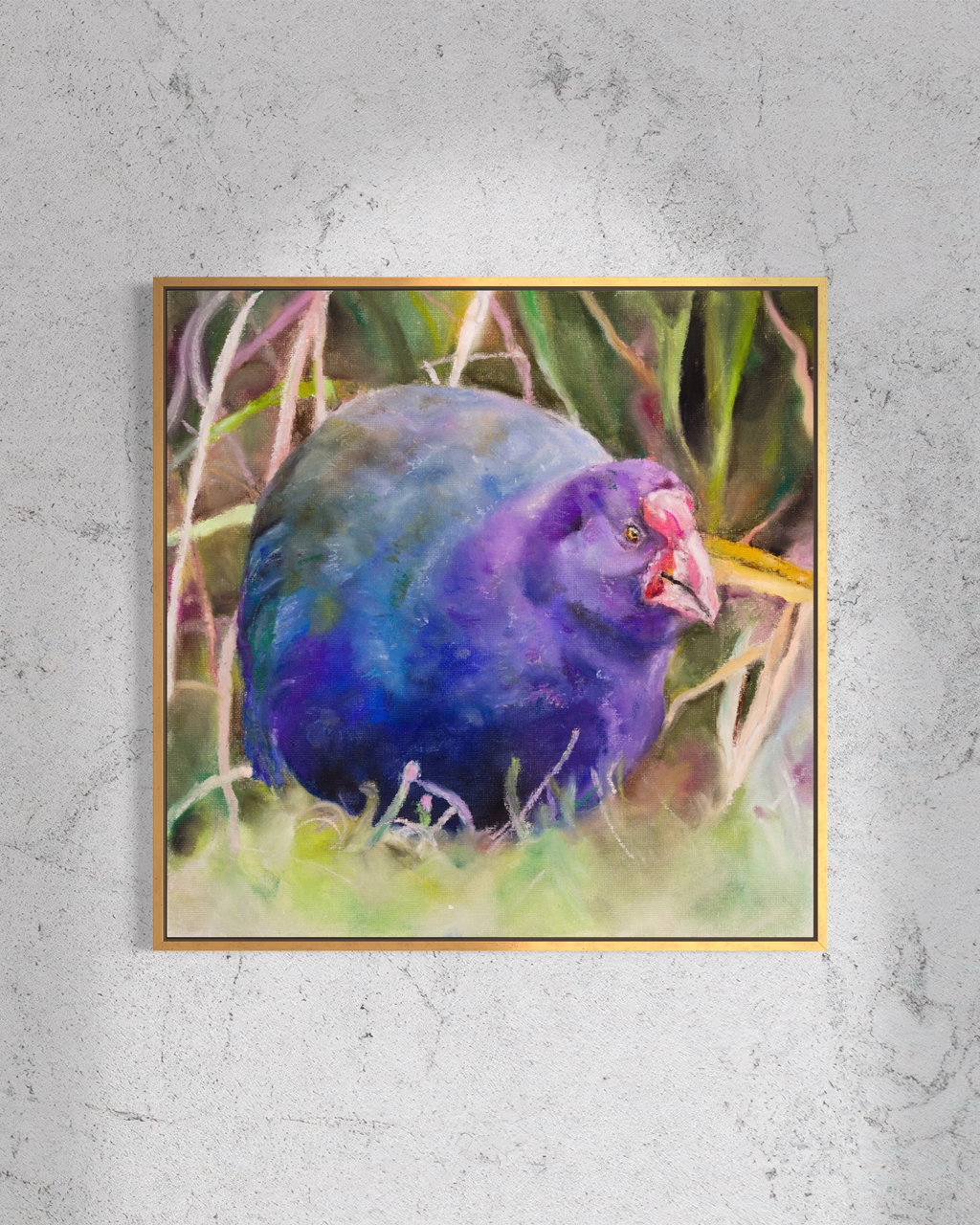 Takahe