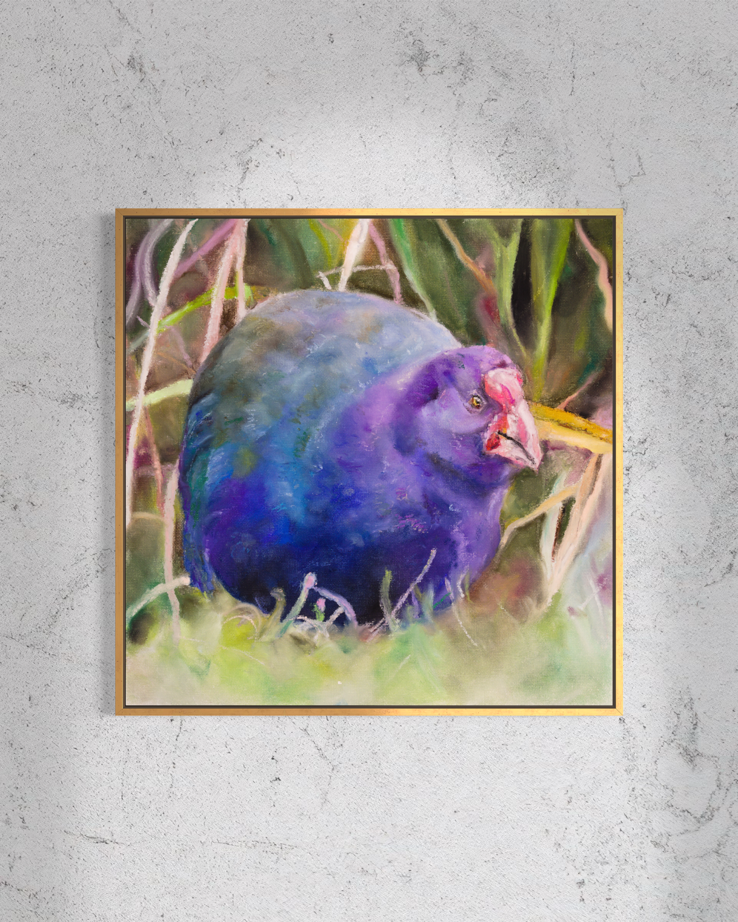 Takahe