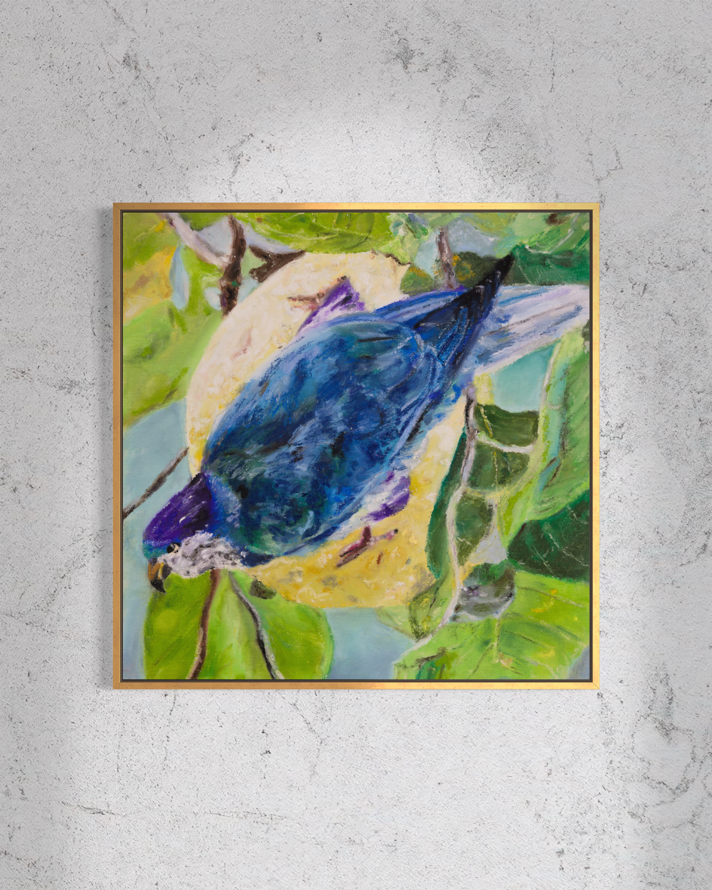 Ultramarine Lorikeet