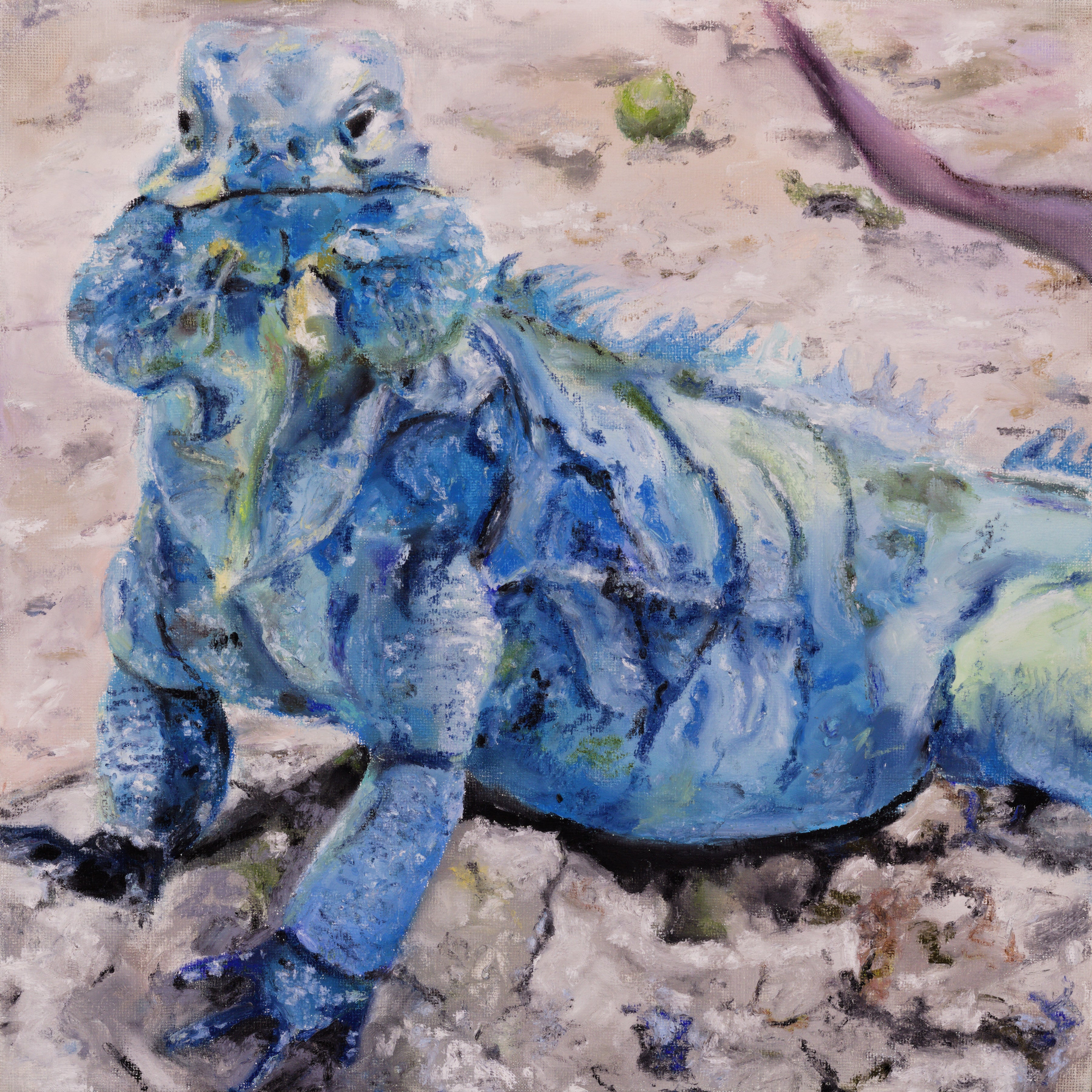 Blue Iguana