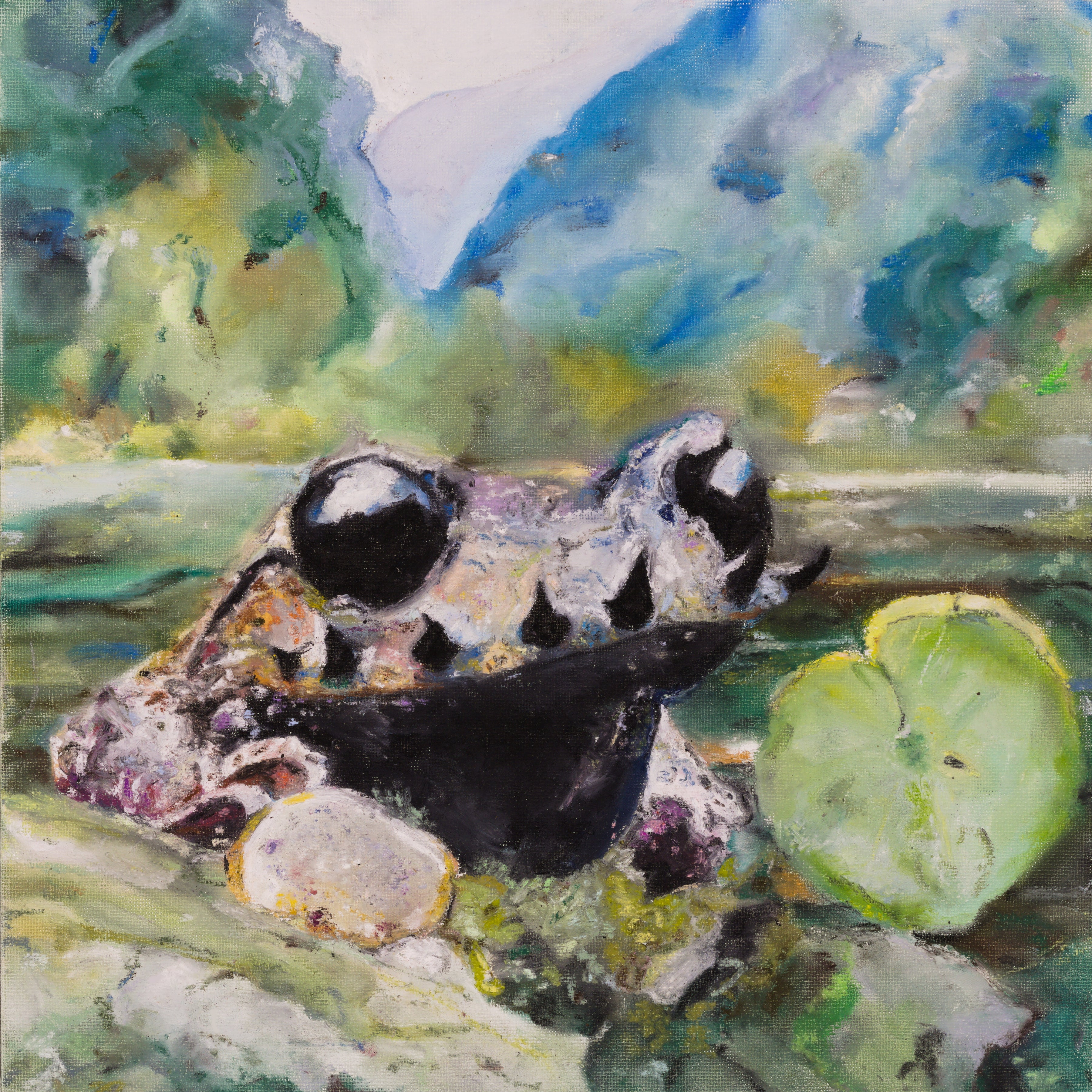 Emei Mustache Toad