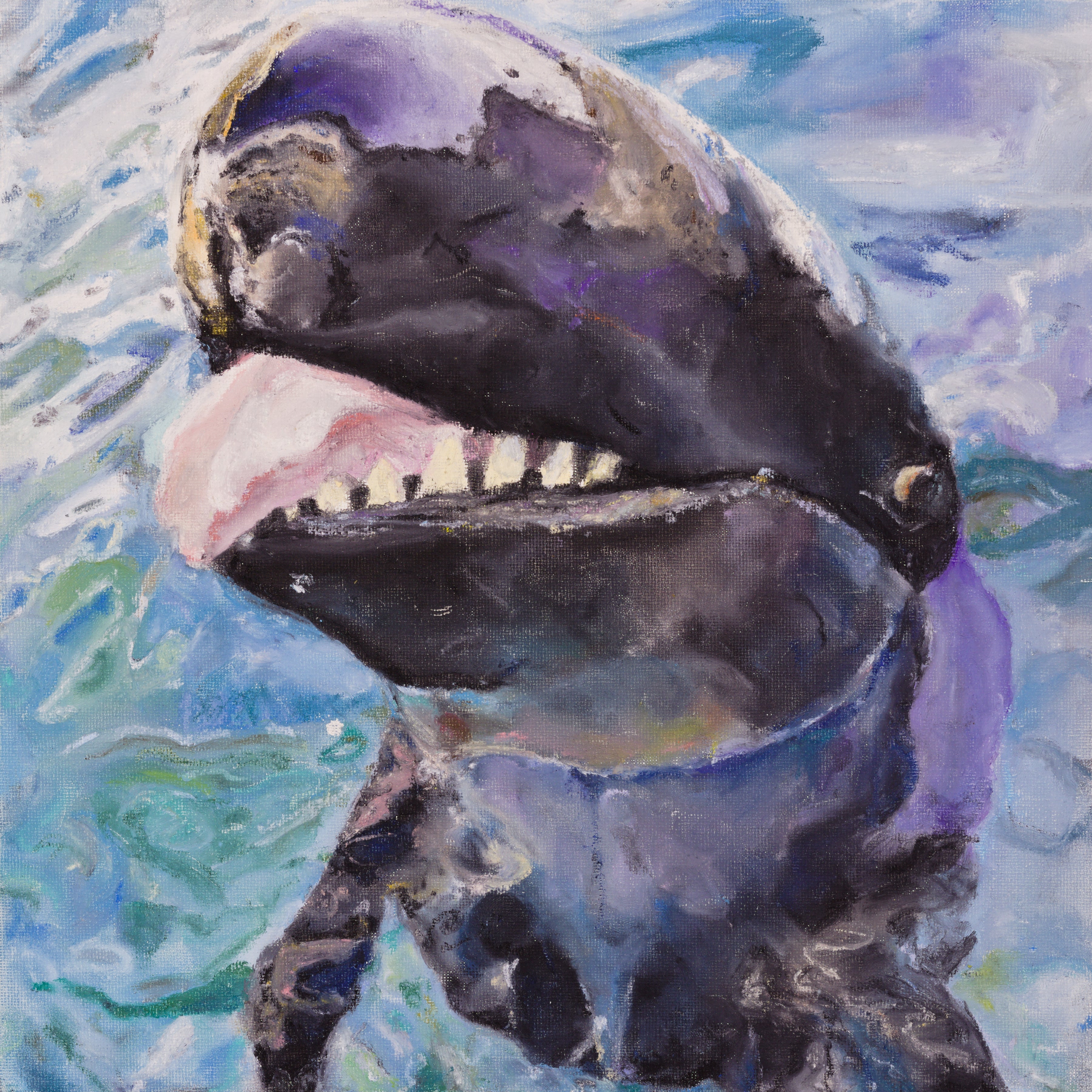False Killer Whale