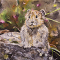 Ili Pika