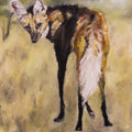 Maned Wolf