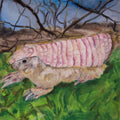 Pink Fairy Armadillo