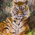 Sumatran Tiger