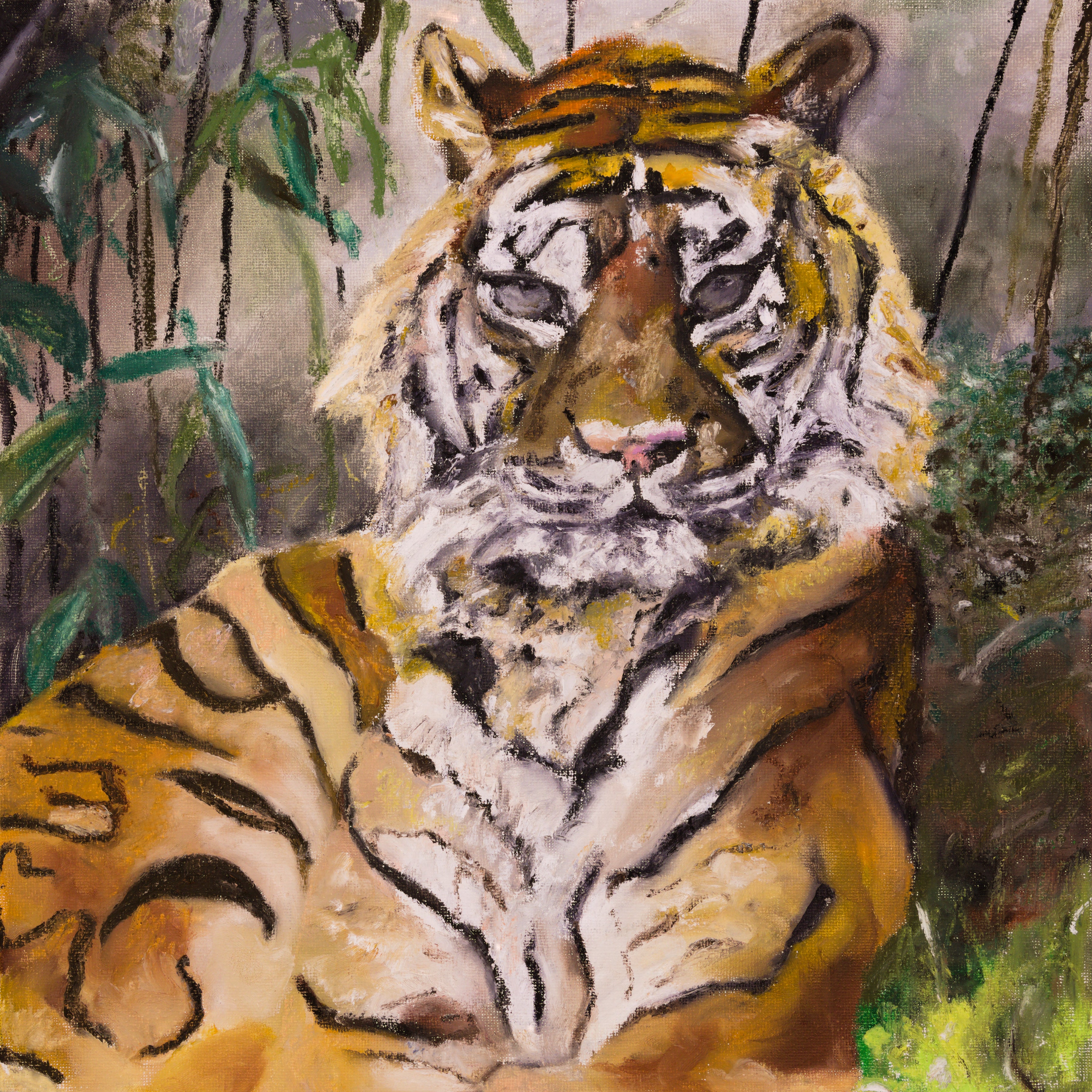 Sumatran Tiger